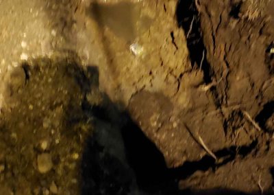 Superb Plumbing Contractor